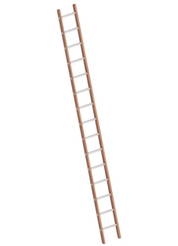 Layher 1029 Verbundanlegeleiter 15 Sprossen