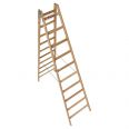 Euroline Holz Sprossenstehleiter 2x10 Sprossen-small