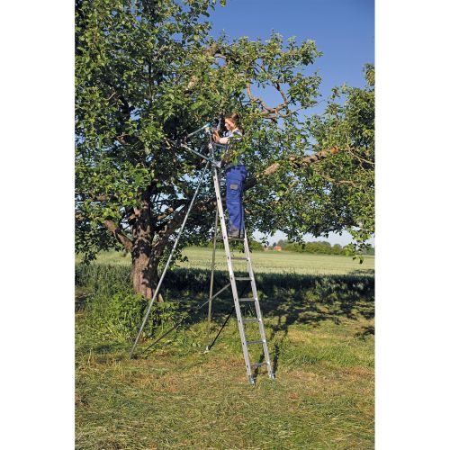 MUNK Anlegeleiter mit Traverse 12 Sprossen